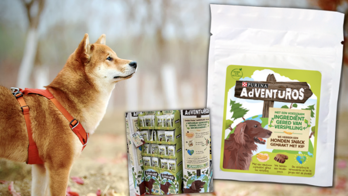 Improving the eCommerce strategy of Purina in the dog and cat snack domain